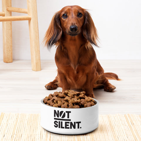 Not Silent Pet bowl